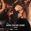 Jauri - Now You're Gone (feat. Jordan Rys) - Single
